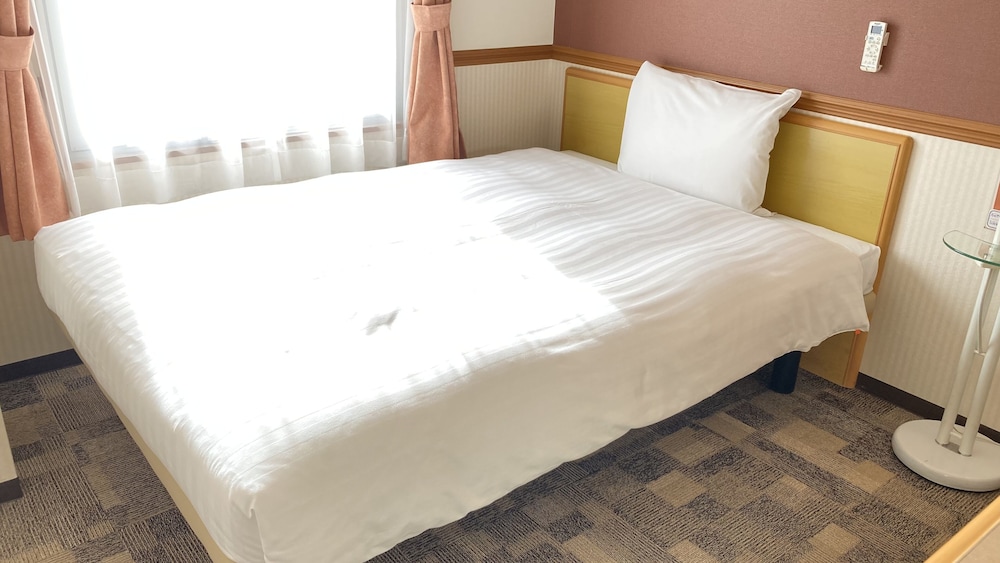 Toyoko inn tokuyama-eki shinkansen-guchi 12/60