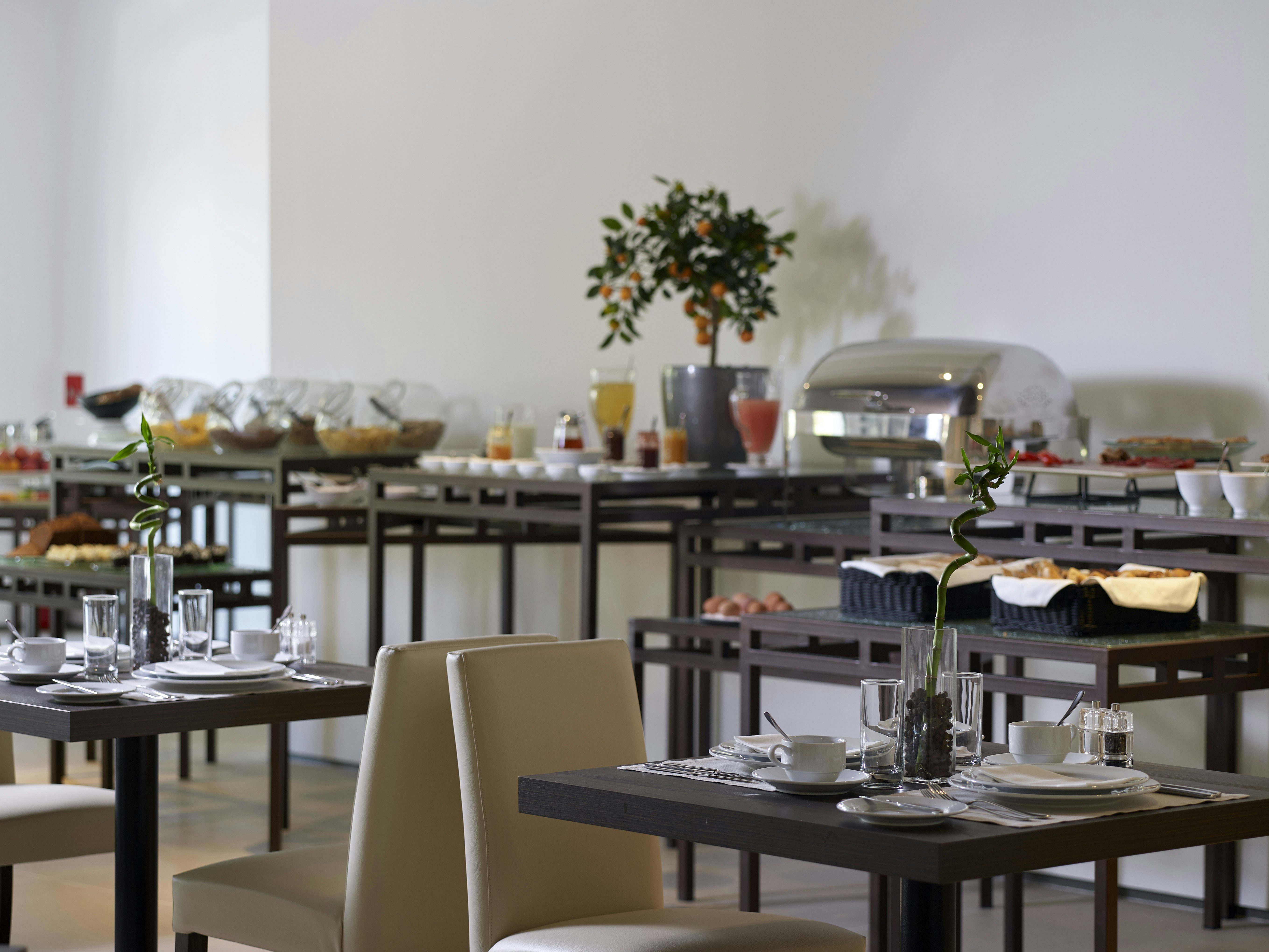 Domotel Kastri 39/50