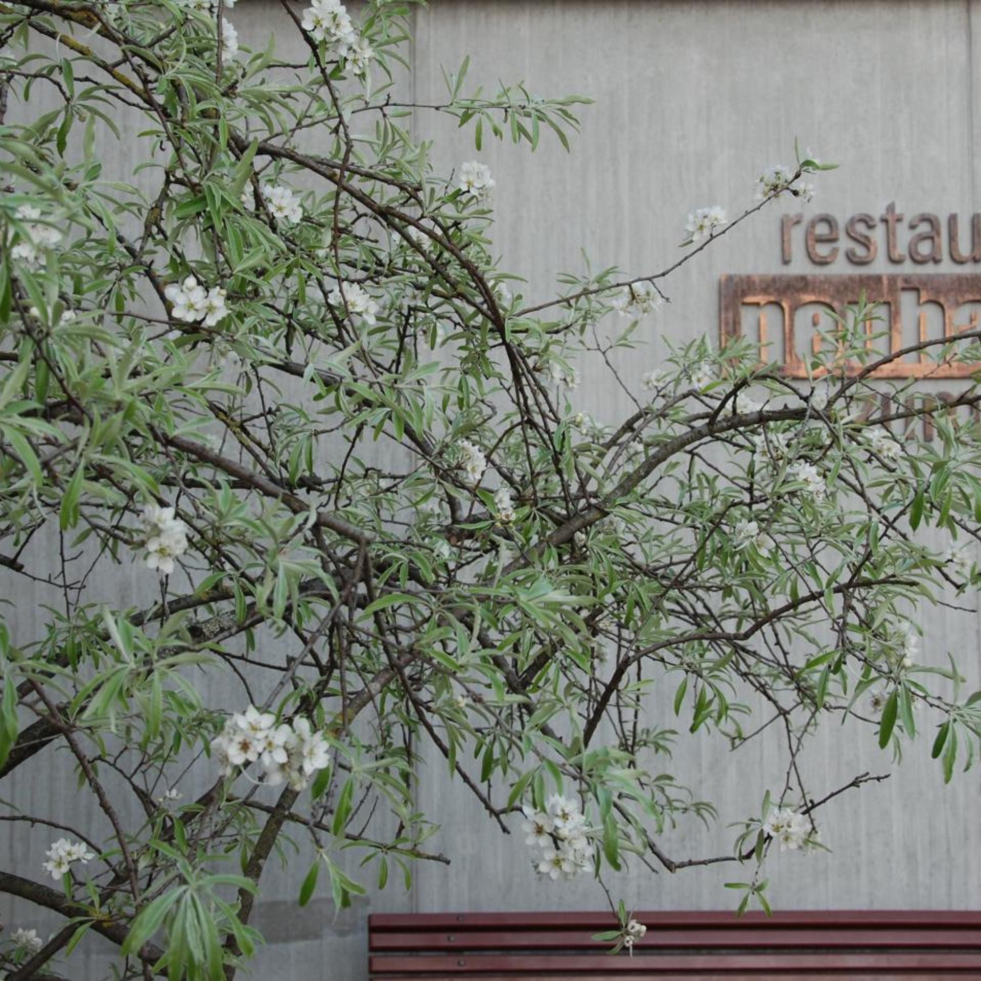 Neuhaus Golf and Strand Hotel 46/50