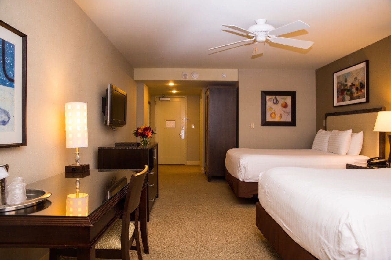 Room, Queen Bed
