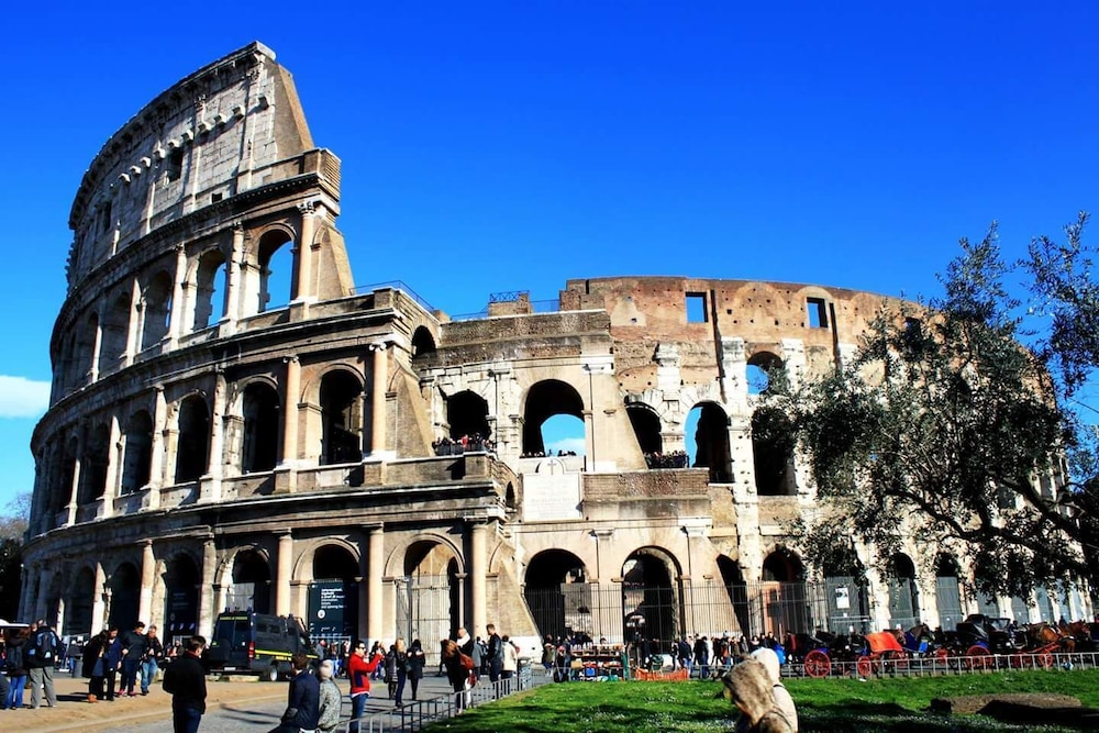 Navona Colors 2/69