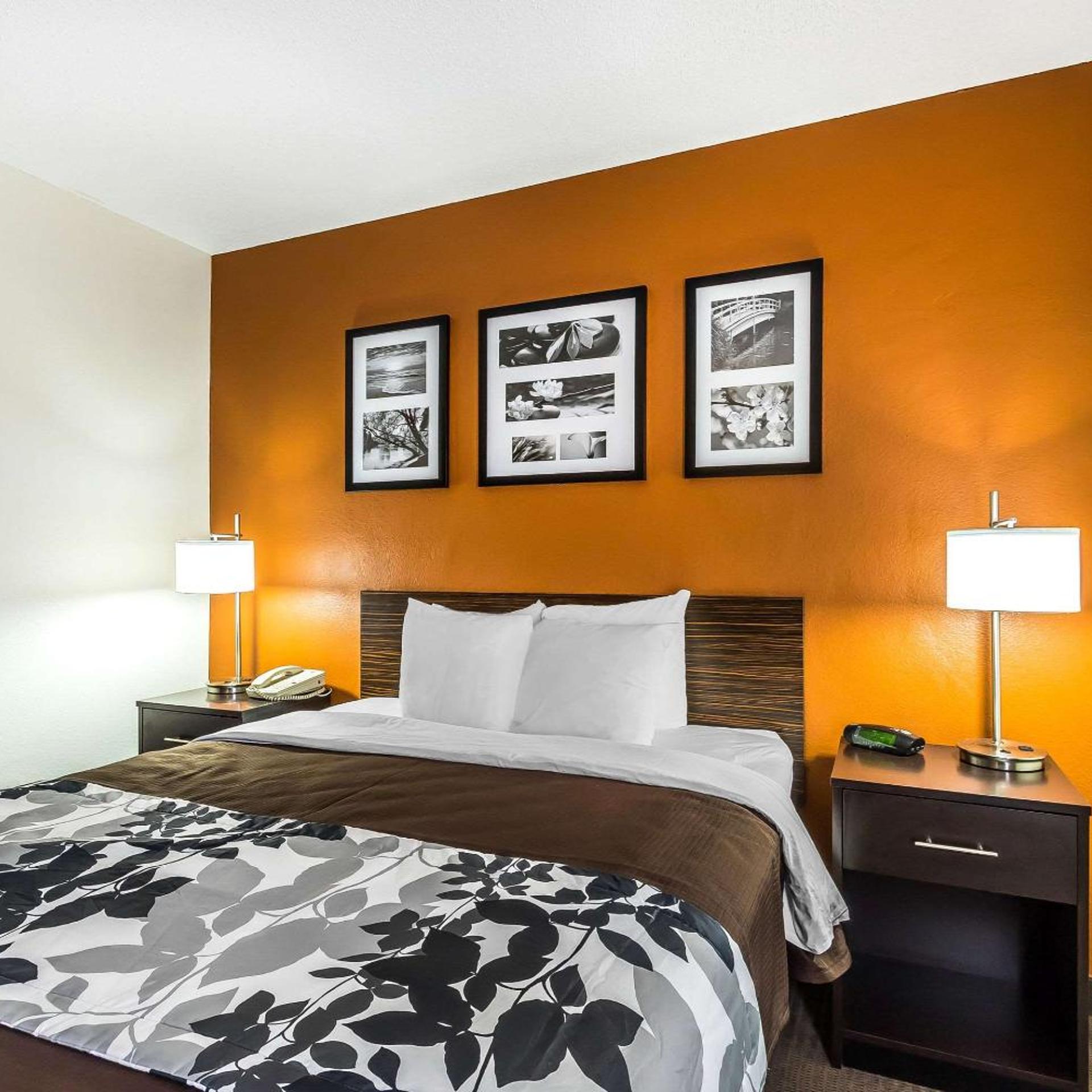 غرفة بزنس، Sleep Inn Springfield South I60 near Medical District 2/4