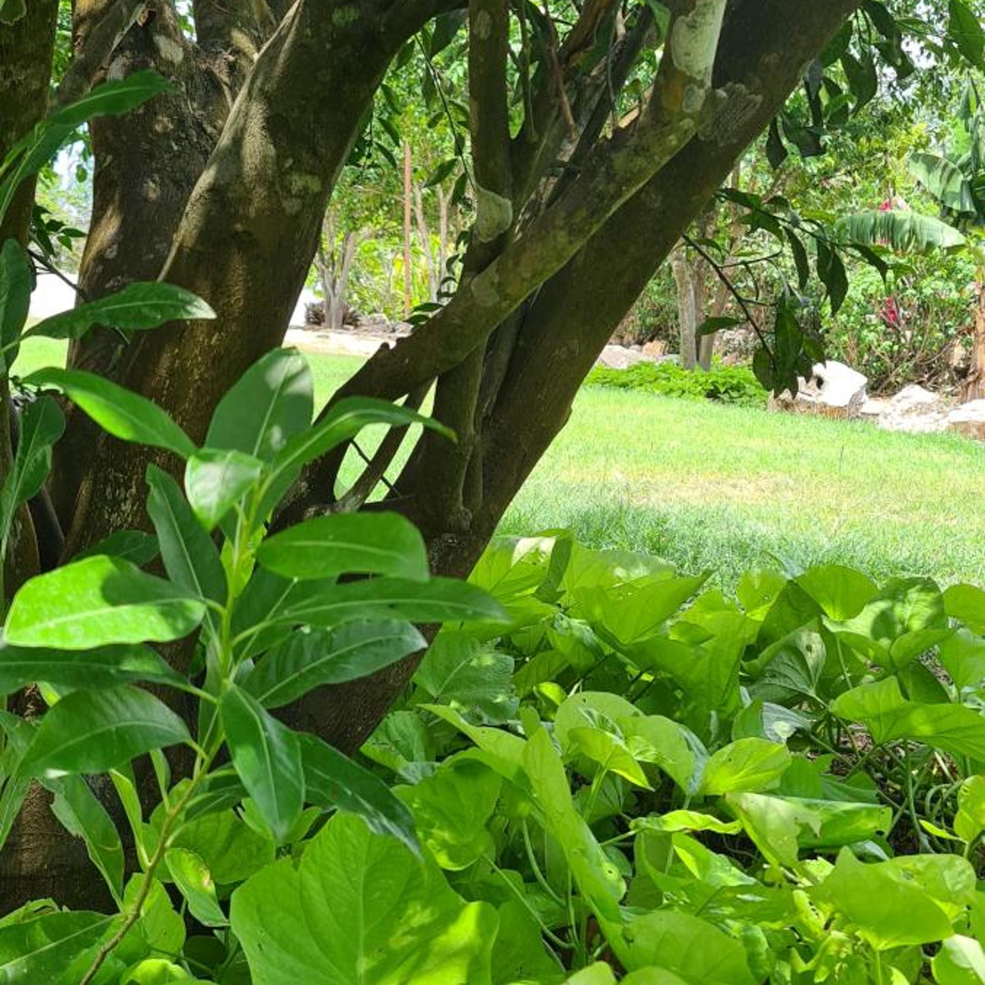 Hotel Quinta Izamal 44/50
