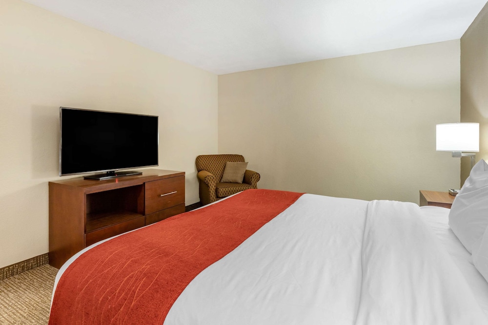 Comfort Inn & Suites Clemson - University Area 13/49