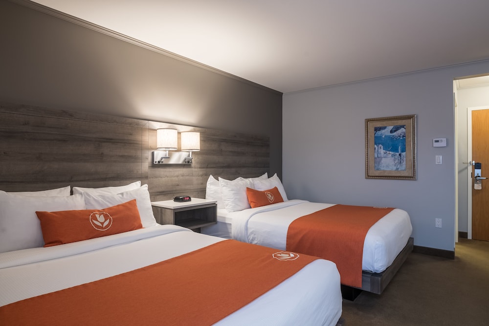 Amsterdam Inn & Suites Moncton 24/63