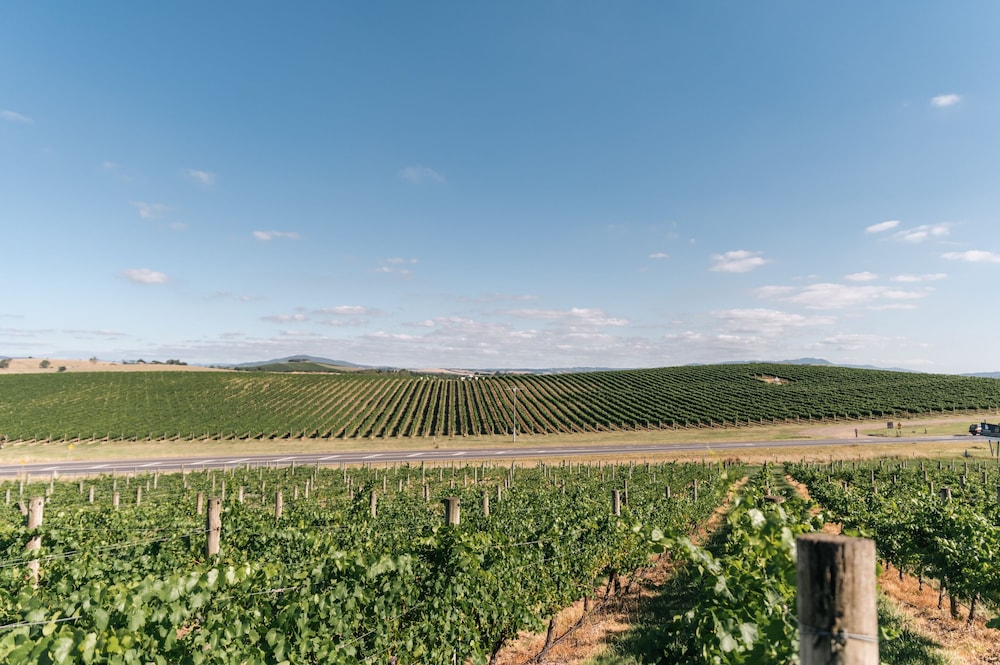 Balgownie Estate Vineyard Resort Spa 65/72