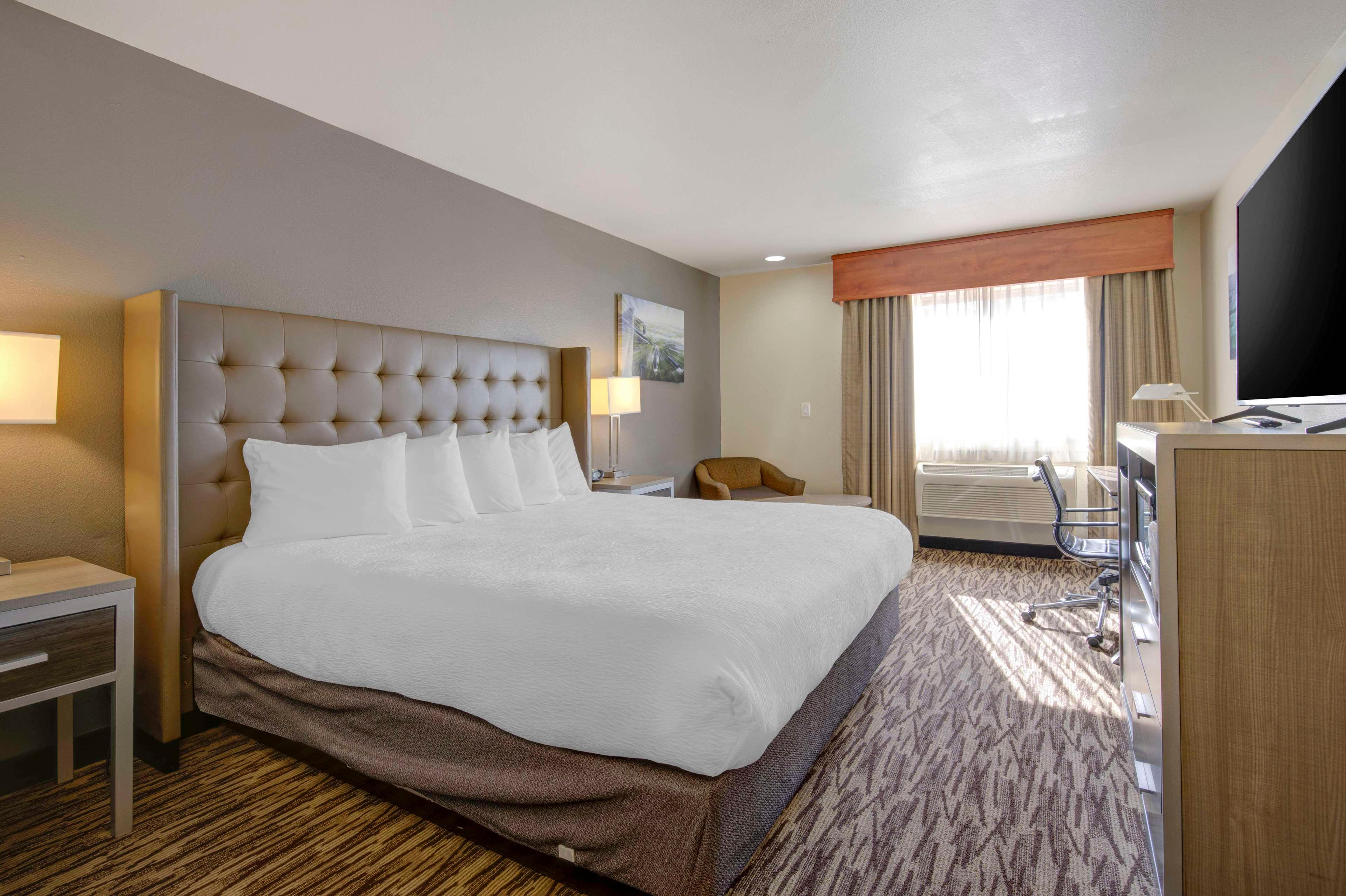 Room, Double Bed
