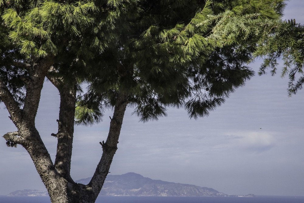 Il Giardino Dell'arte - Guest House 25/34
