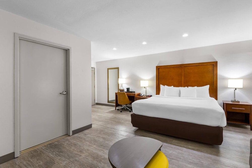 ROOM, KING BED, SOFA, ACCESSIBLE