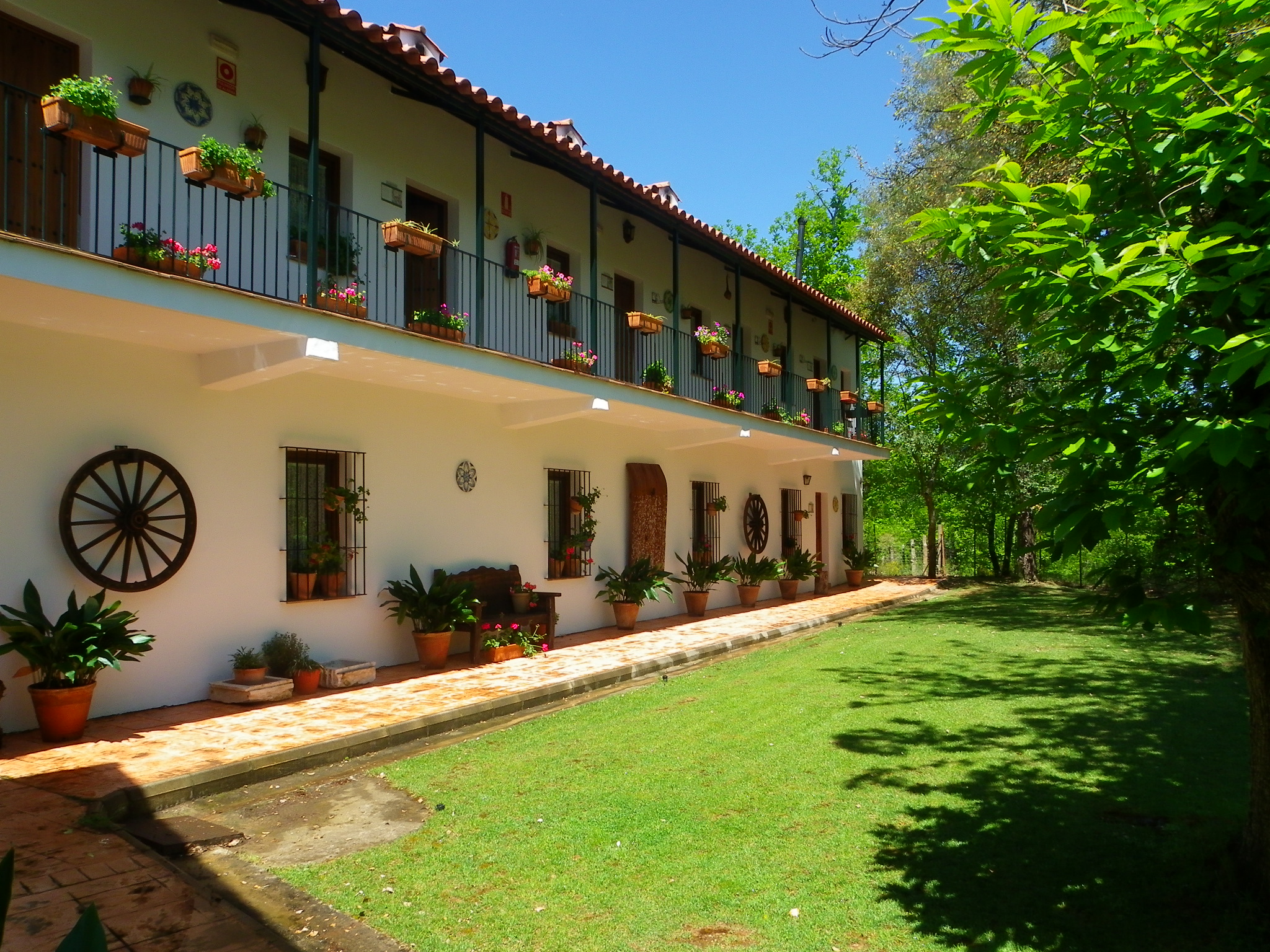 Finca la Media Legua 21/24