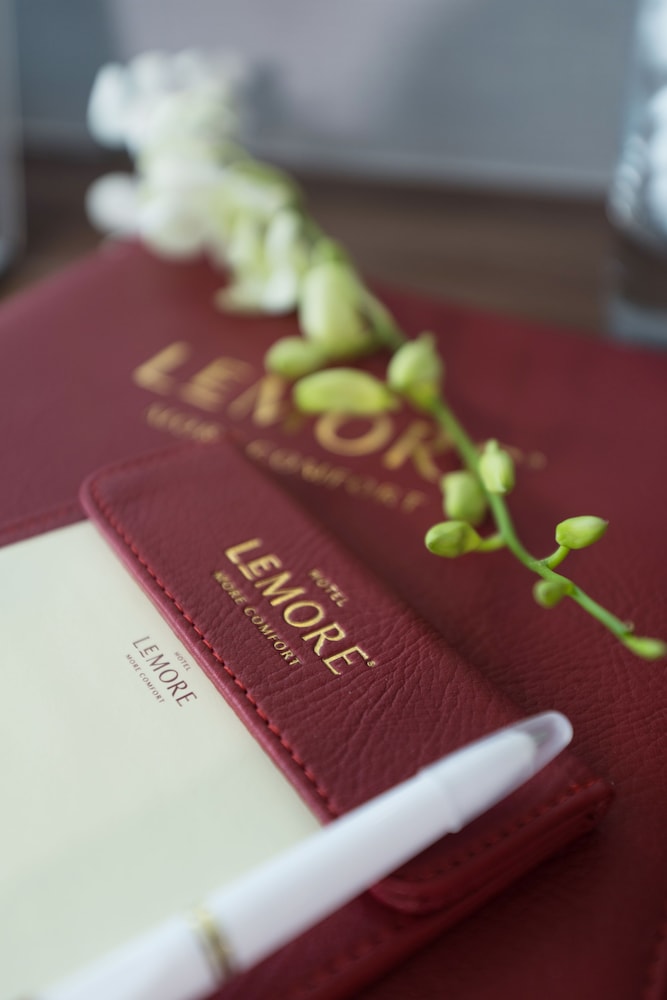 Le More Hotel 21/50
