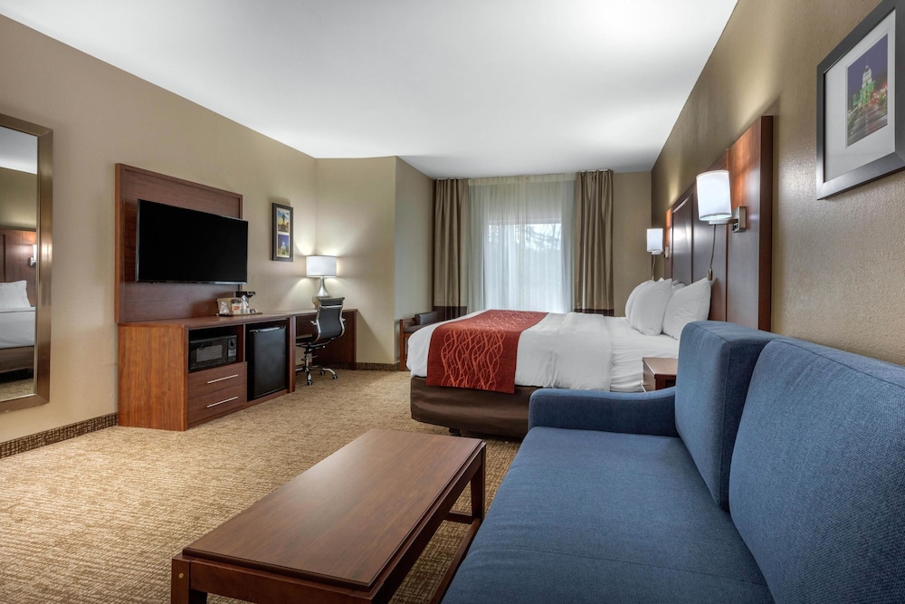 Comfort Inn and Suites Montgomery East Carmichael Rd 29/54