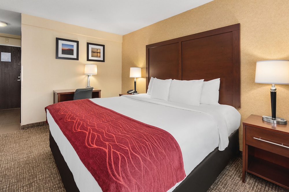 Comfort Inn & Suites Vancouver Downtown City Center 11/48