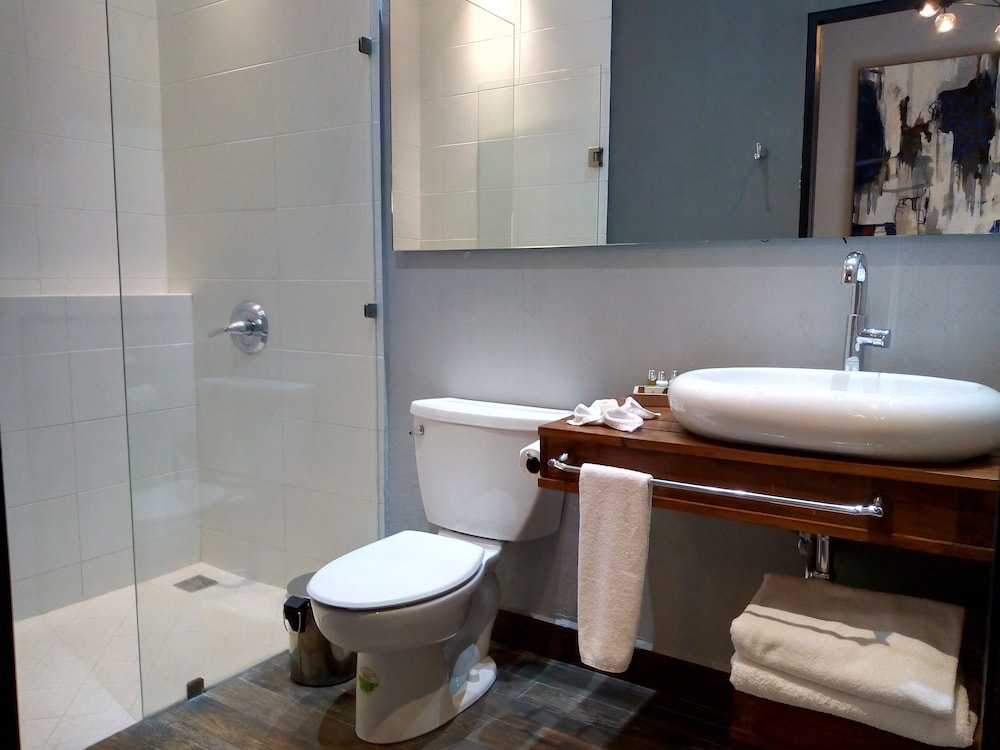 Meson de Santa Rosa Luxury Hotel 27/70