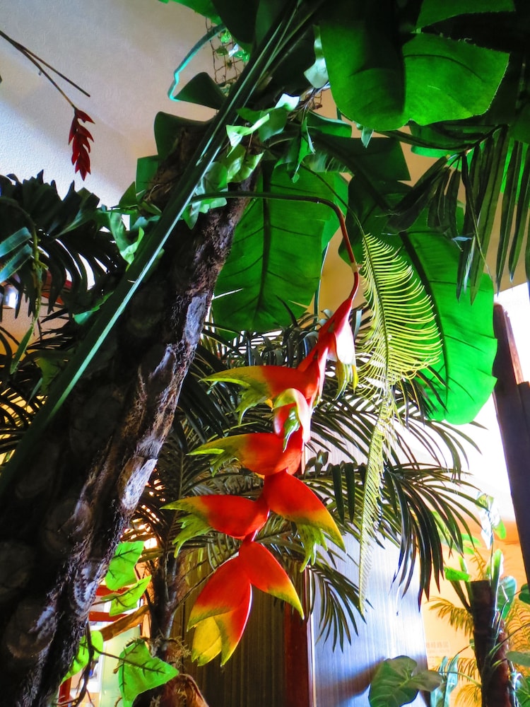 Stella Resort - Hostel 46/49