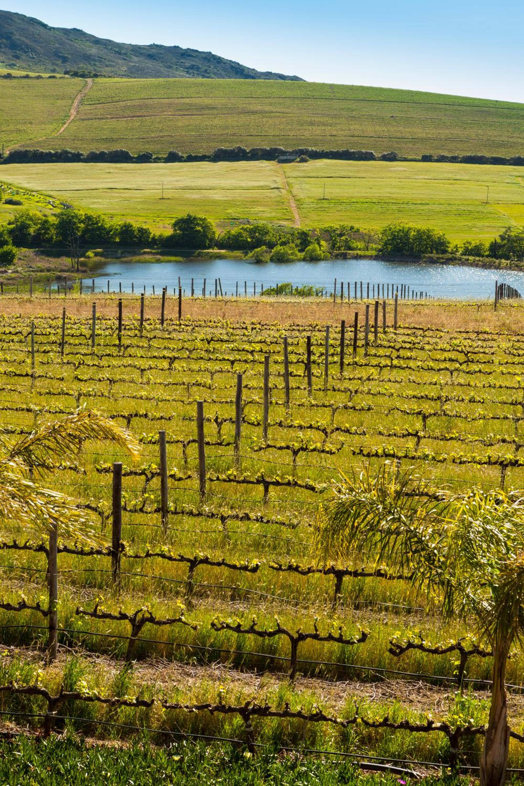 Sunrise And Sunset Apartments At Domaine Coutelier 34/50