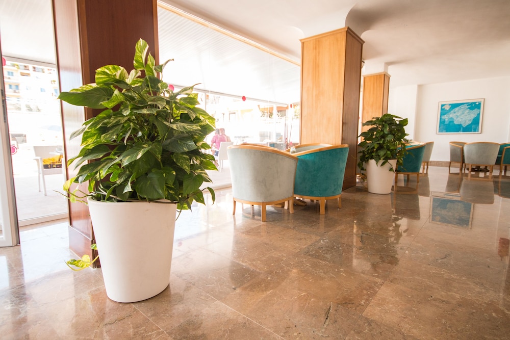 Hotel Amic Miraflores 12/50