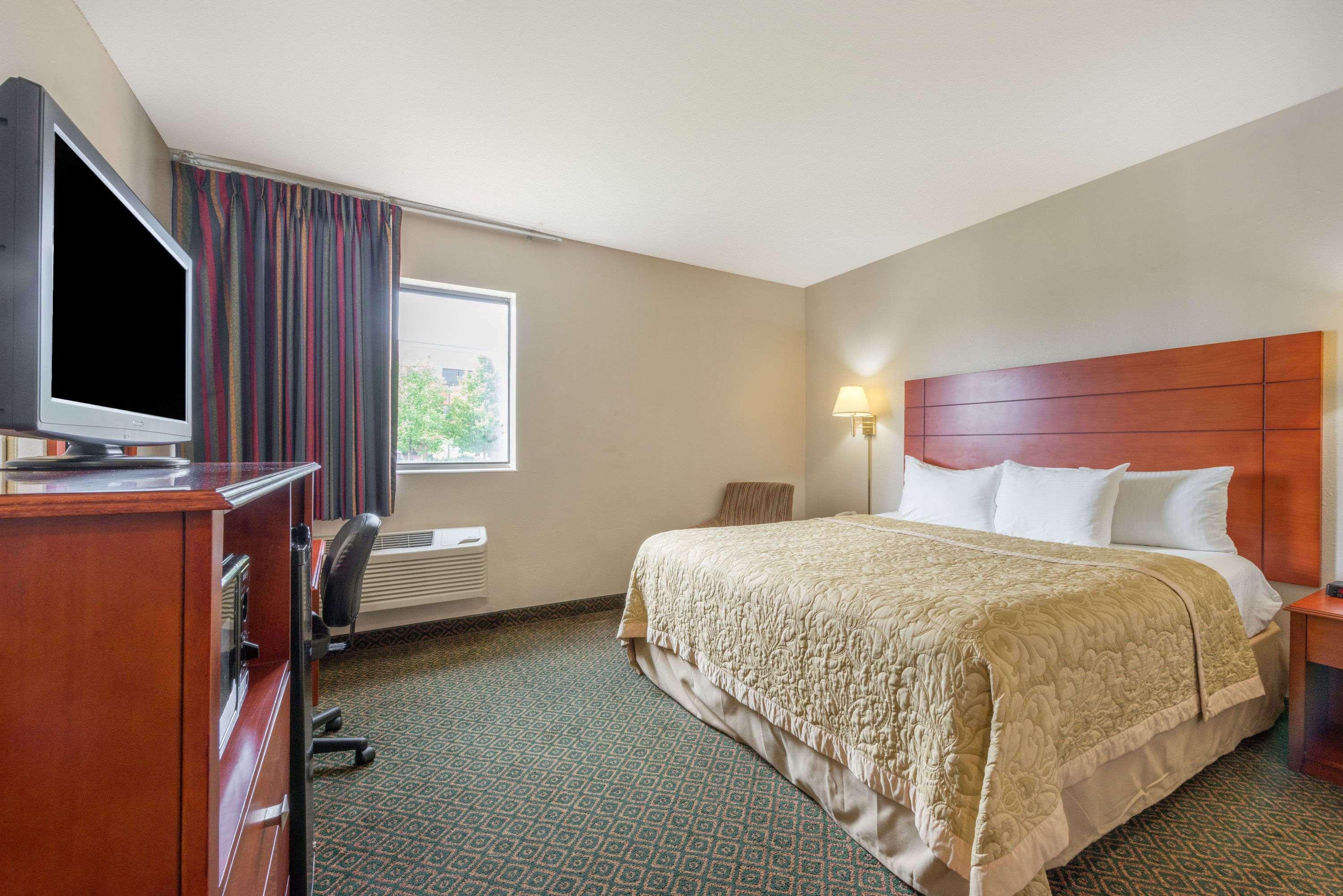 Room, King Bed