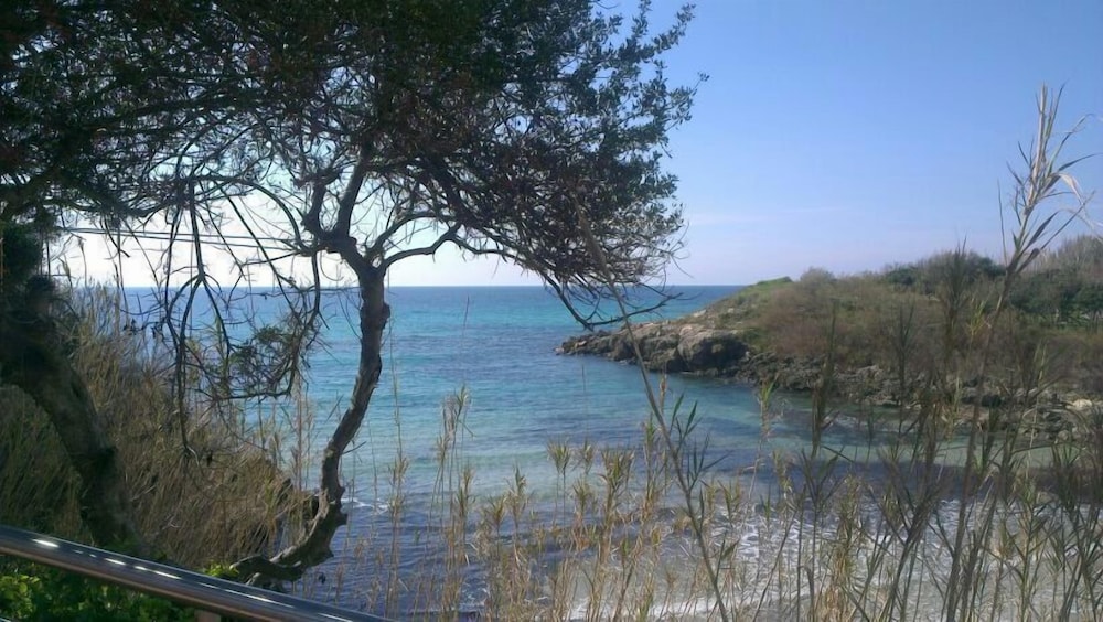 Mon Reve 20/32