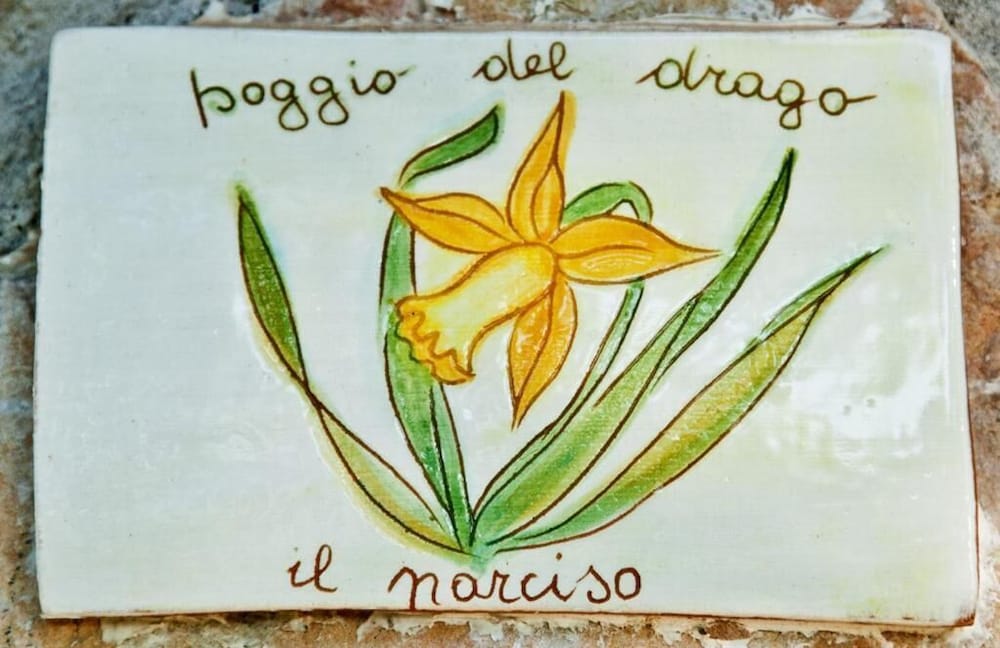 Agriturismo Poggio Del Drago 5/50