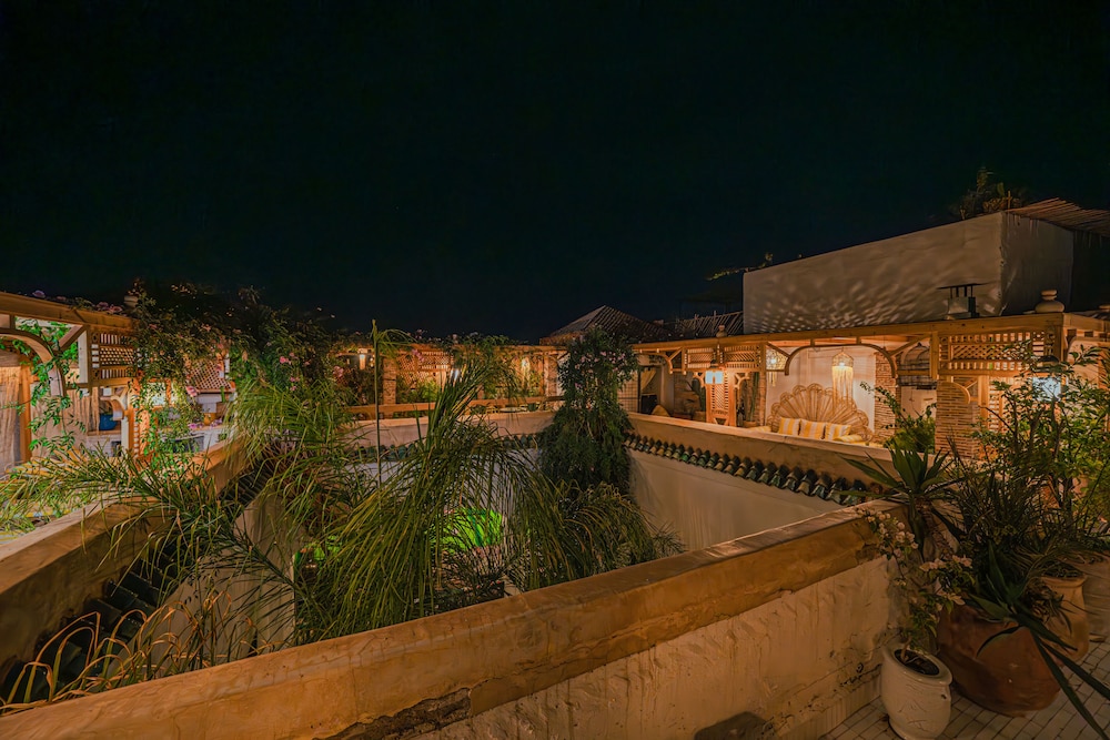 Riad Tibibt 3/50