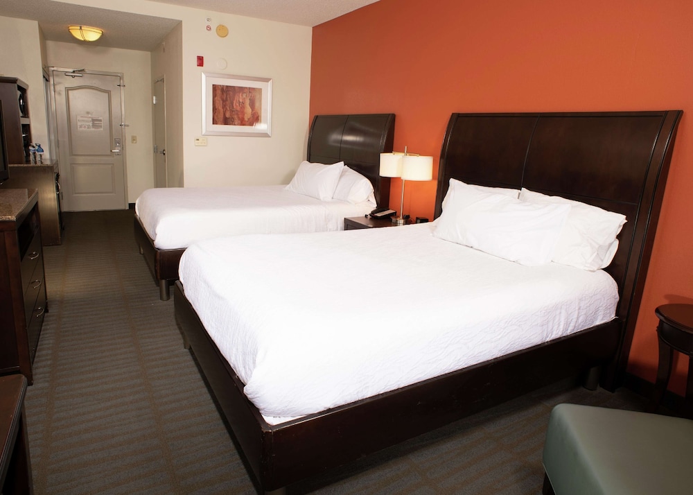 Hilton Garden Inn Springfield 23/55