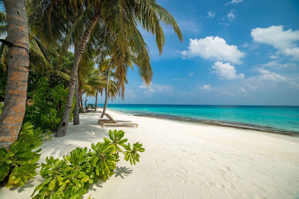Fiyavalhu Resort Maldives - All Inclusive 64/69