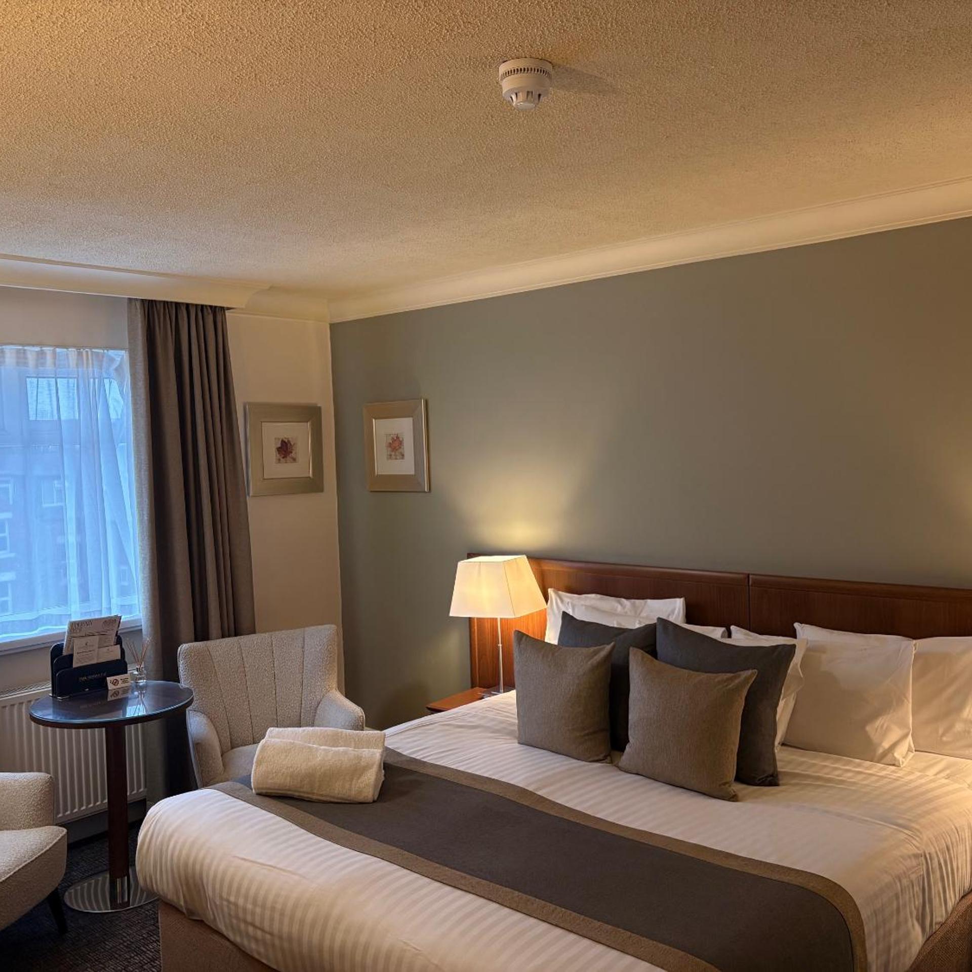 Room, King Bed