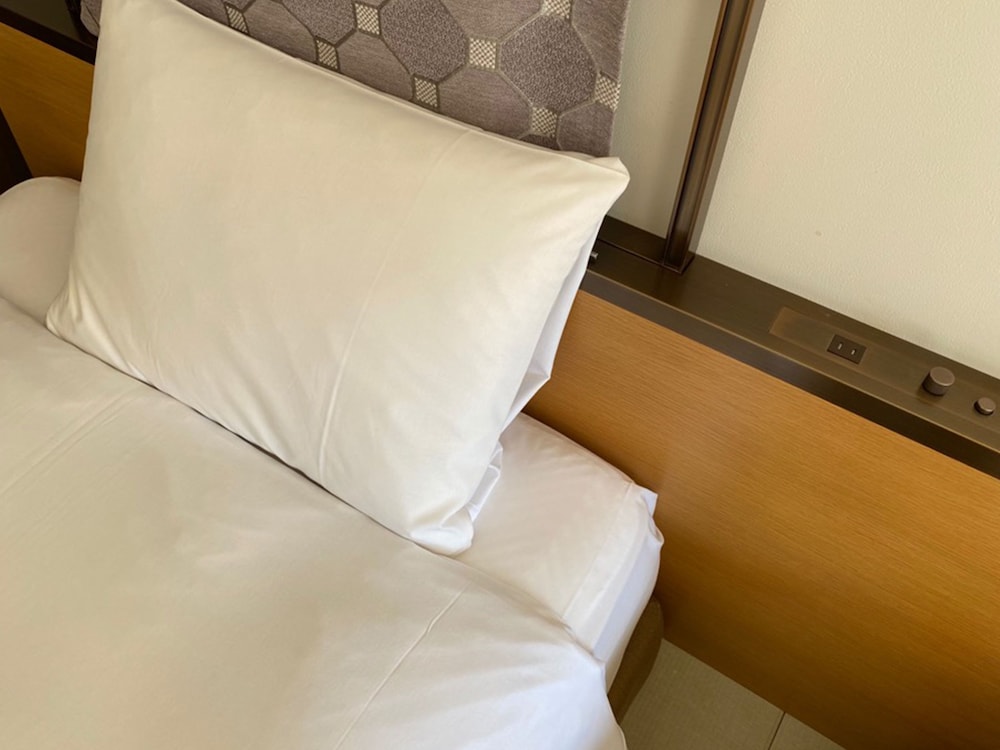 京都Granbell酒店(Kyoto Granbell Hotel) 图片3