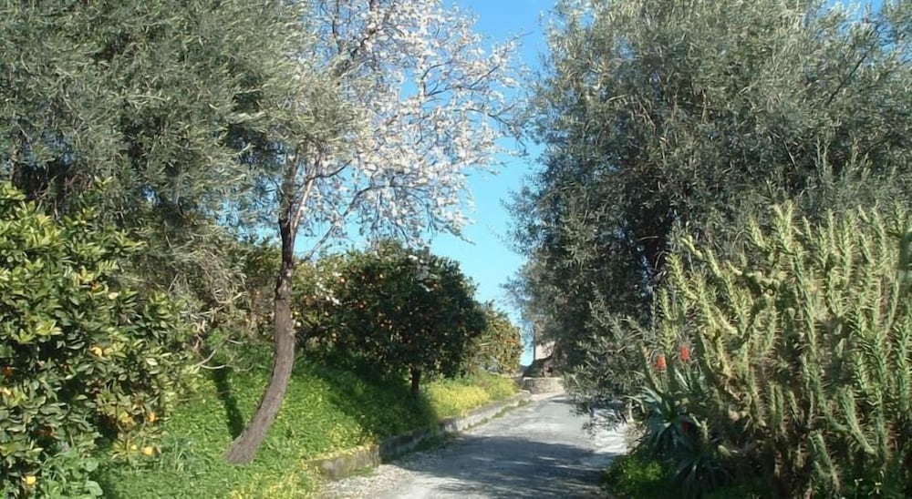 Antico Borgo 33/50