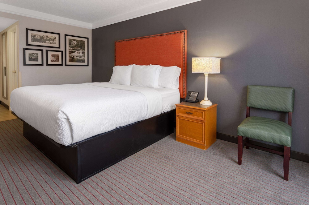 Suite, King Bed
