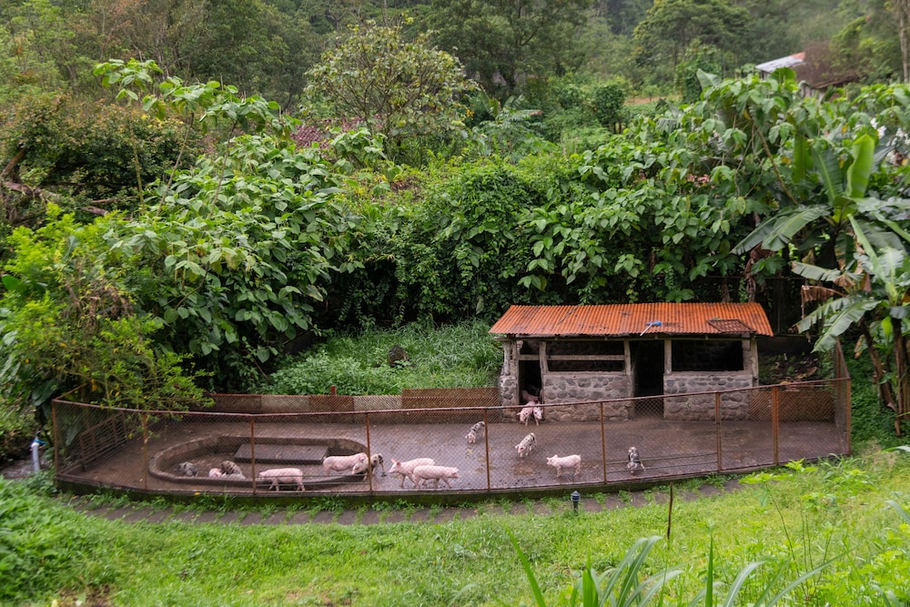 Rancho Margot 40/49