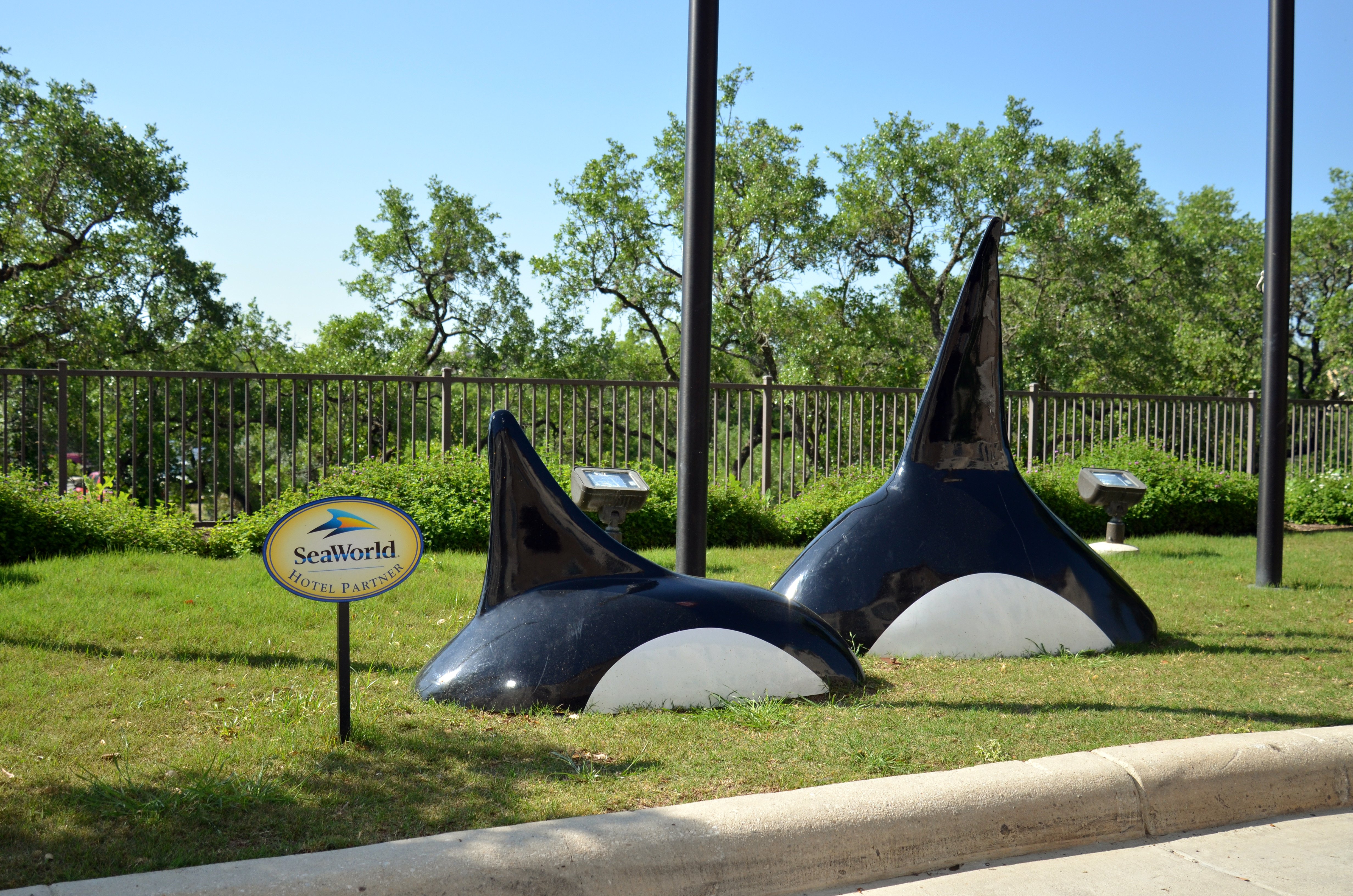 Staybridge Suites San Antonio Sea World 65/66