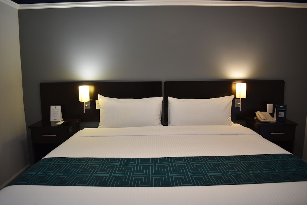 GAMMA BY FIESTA INN LEON 15/52