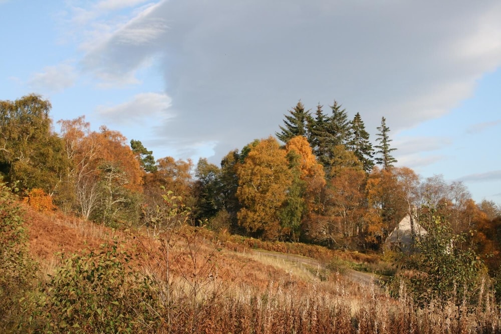 Bcc Loch Ness Hostel 33/42