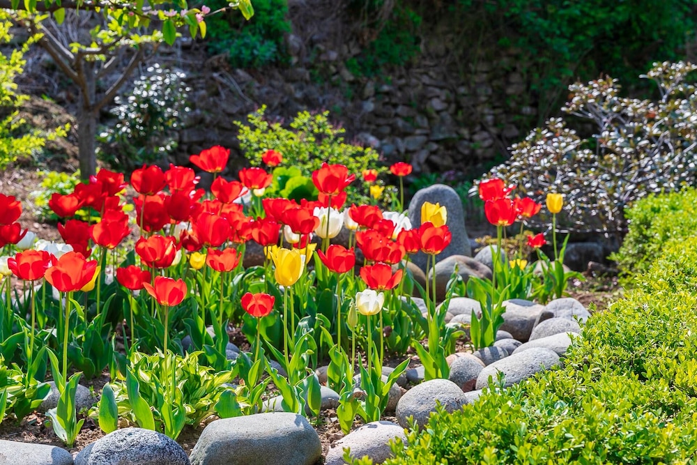 Namhae Gagopa Pension 42/50