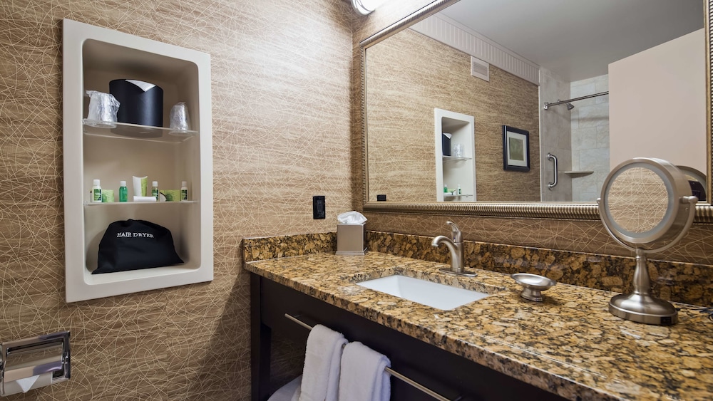 Best Western Plus Concordville Hotel 21/54