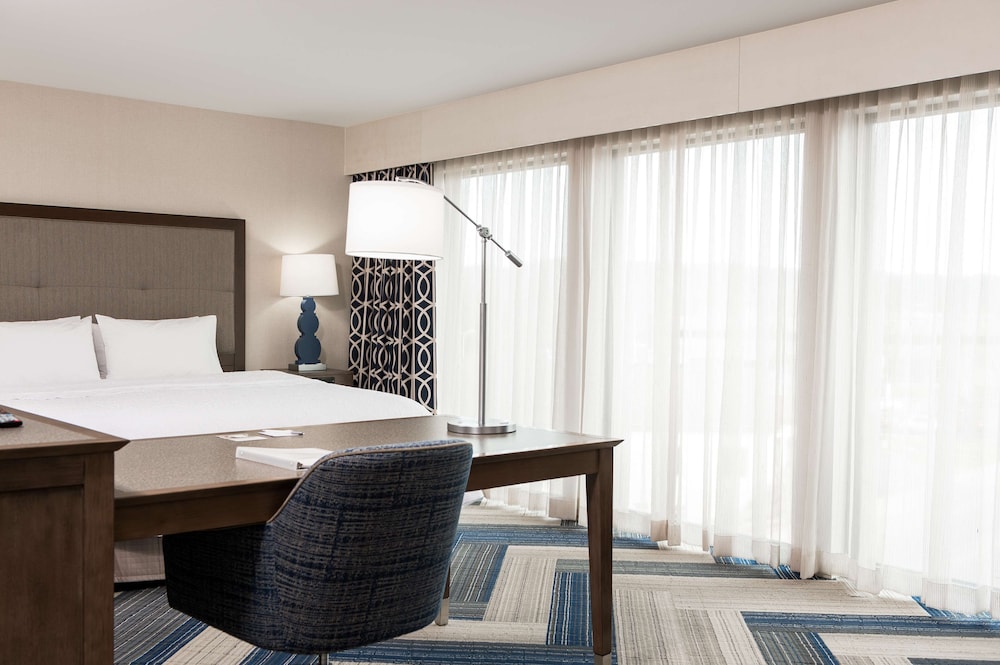 Hampton Inn & Suites La Crosse/Downtown 20/63