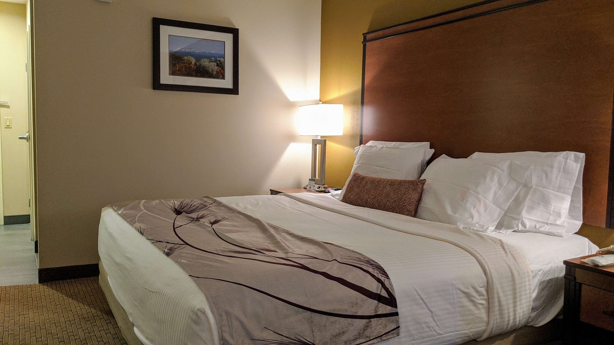 غرفة قياسية بسرير كينج لذوي الإعاقة، Best Western Bend North 3/9