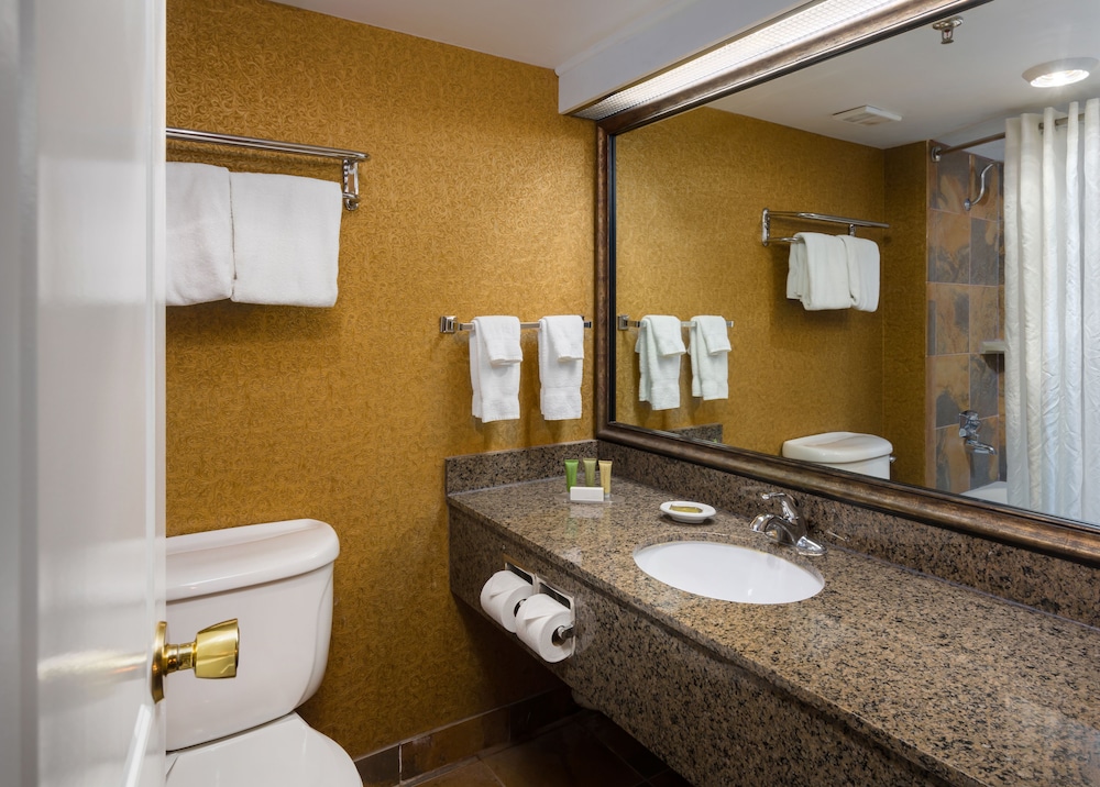 Ramkota Hotel And Conference Center 17/64
