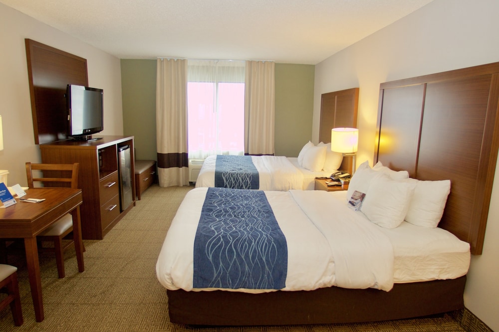Comfort Inn Near Quantico Main Gate North 13/35