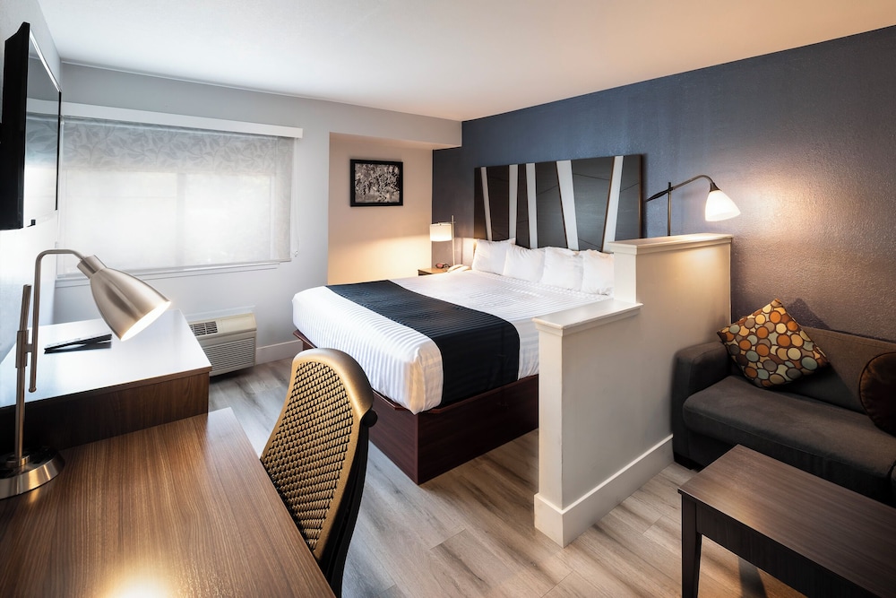 Hotel Mira Vista 24/53