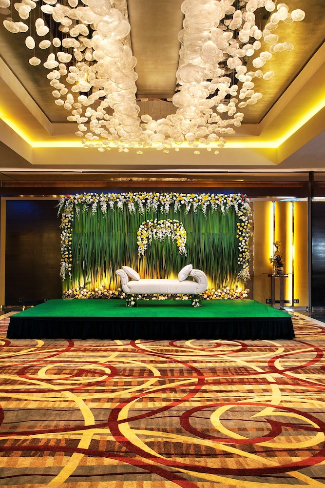 Radisson Blu Plaza Hotel Delhi Airport 37/76
