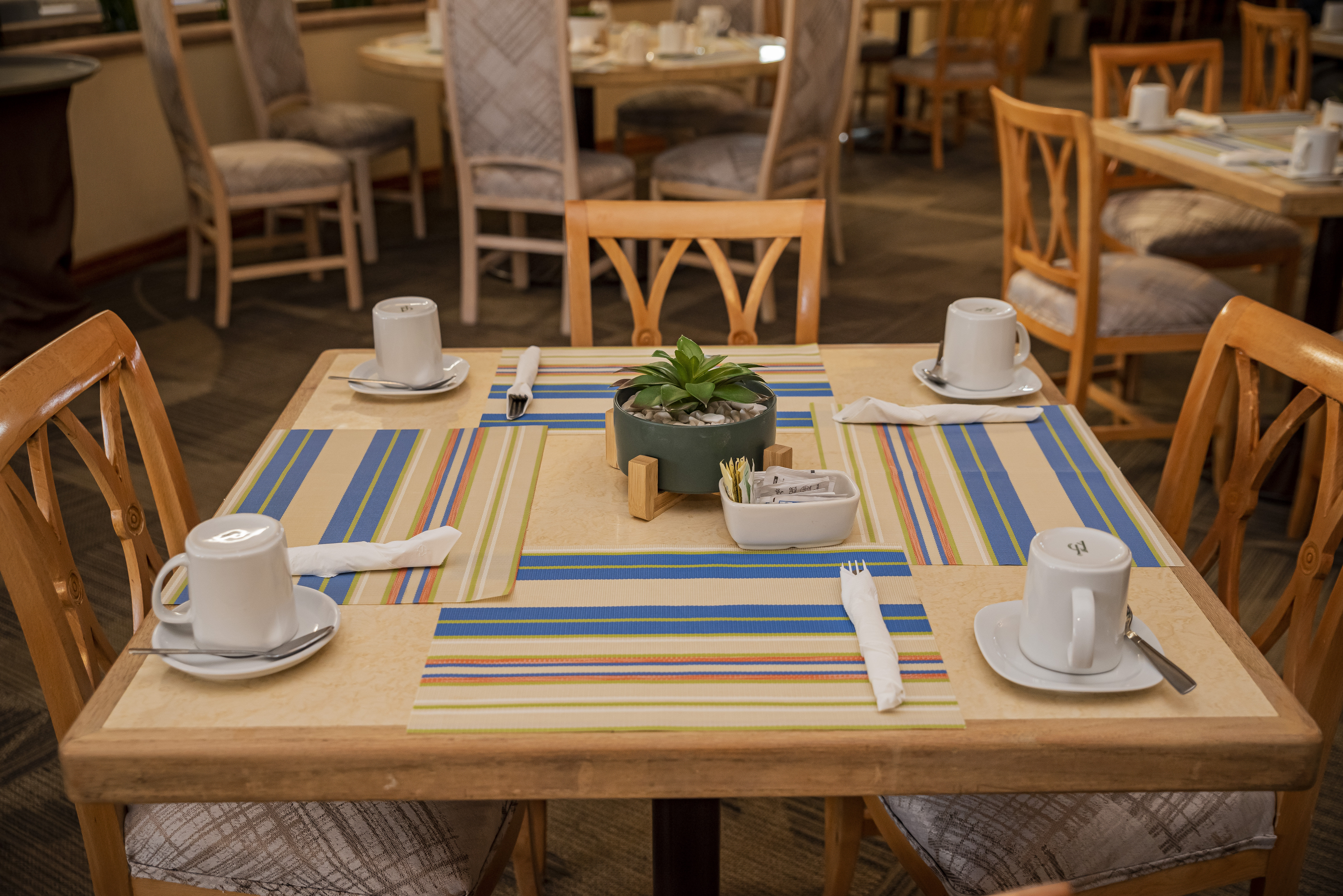 Holiday Inn La Piedad 28/55