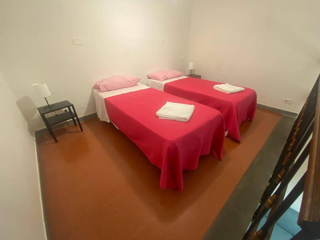 オロ ニュー（大人専用） 写真2