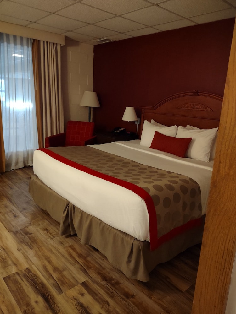 2 Bedrooms, Suite, 2 King Beds, Pool View, Albert Lea Inn & Suites 4/10