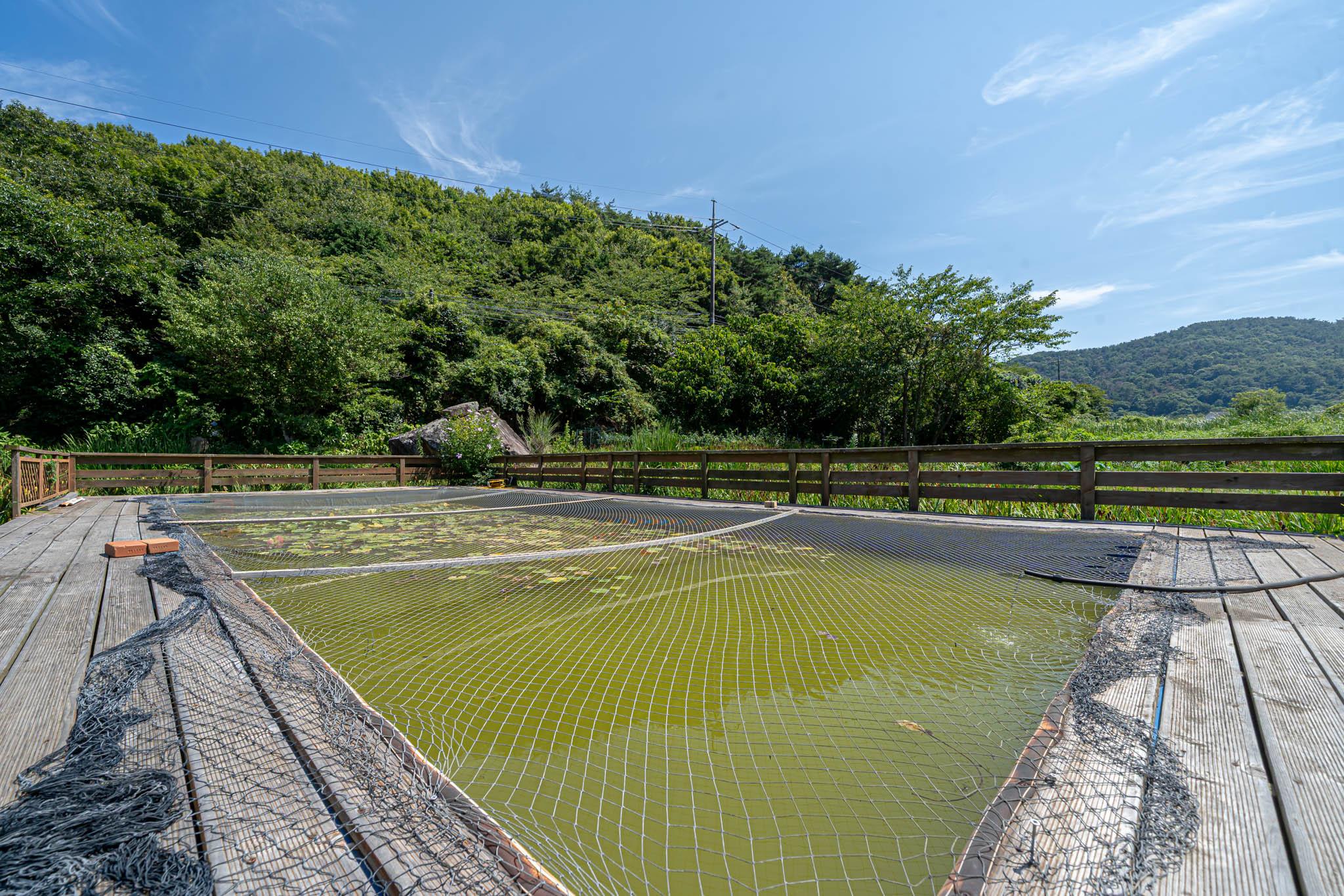 Garden Pension in Tasha, Tongyeong 26/29