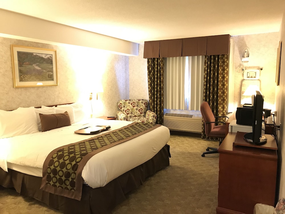 Lexington Inn & Suites Windsor 29/51