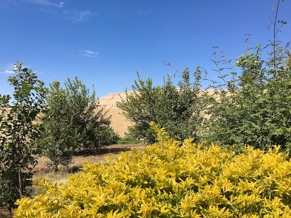 Memnon Hotel Luxor 39/50