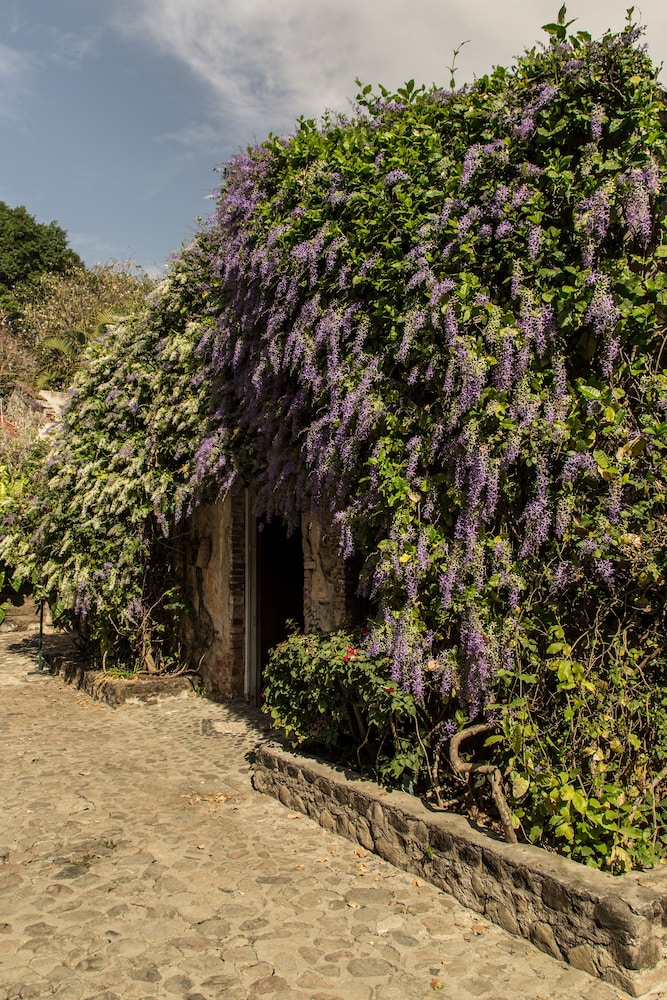 Hacienda San Gabriel de las Palmas 74/80